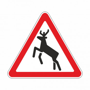 1.27 Дикие животные